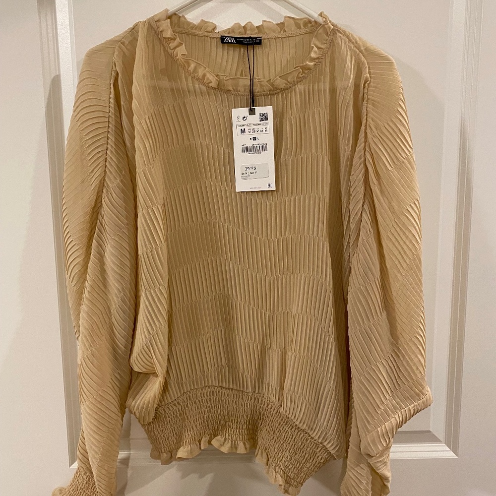 Zara sheer top